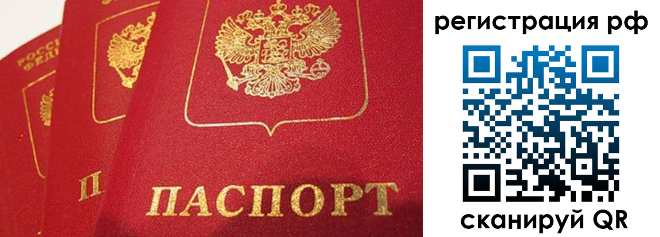 прописка поиск в Волгоградской области